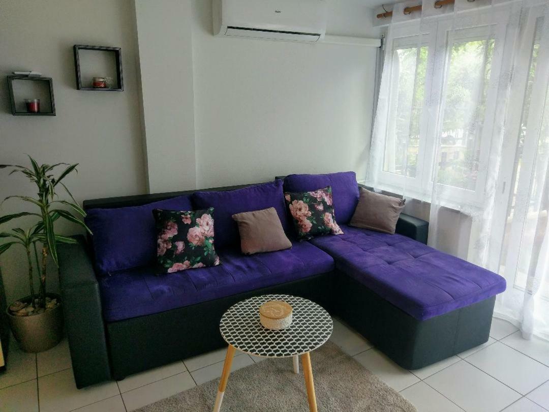 Lovely Apartment With Garden And Terrace Rijeka Eksteriør billede